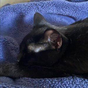 Meet your Posher, Mackenzie